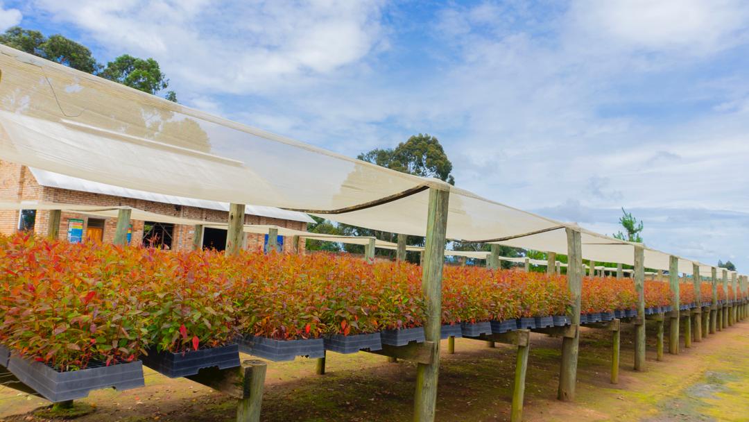 FWITC campus and forestry training